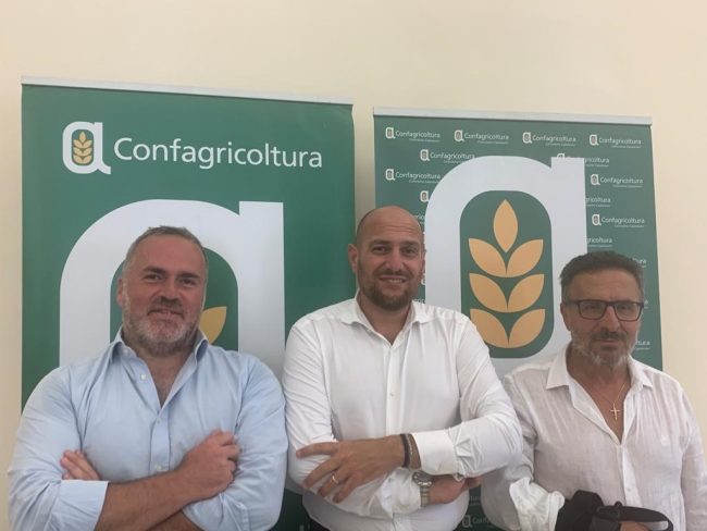 Confagricoltura Catania, è Arcoria il nuovo presidente provinciale