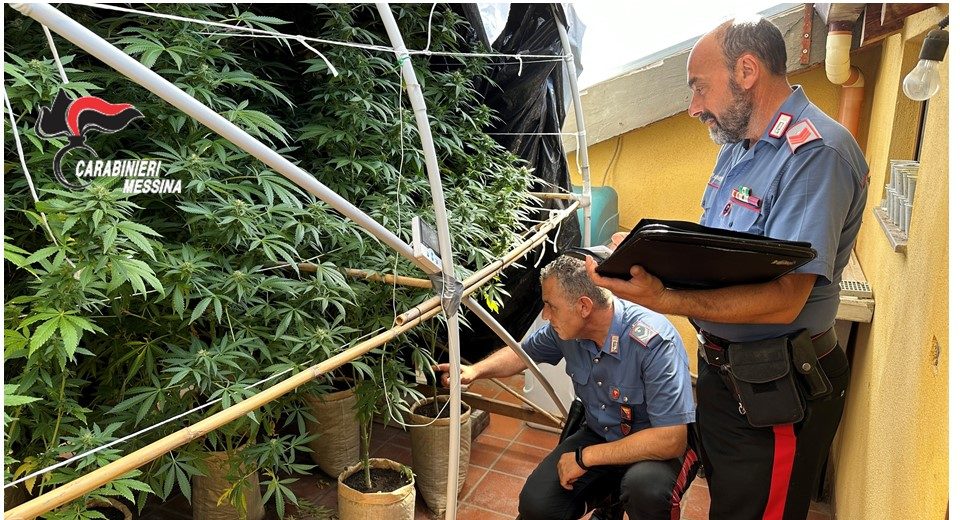 Coltiva una piantagione di marijuana nel solaio di casa, arrestato un uomo nel Messinese