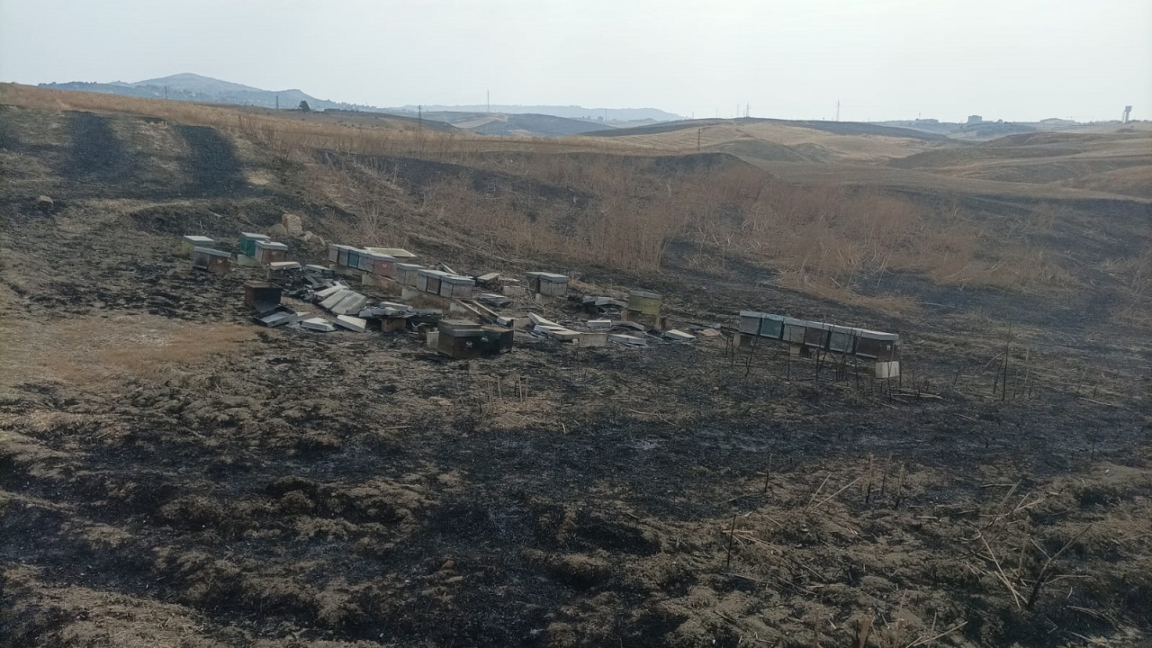Caldo torrido e incendi, Cia Sicilia Orientale chiede l’intervento dell’Assessorato Regionale