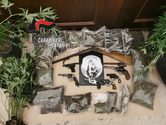 Piante di cannabis e arsenale di armi in un’abitazione di Picanello: l’exploit dei carabinieri