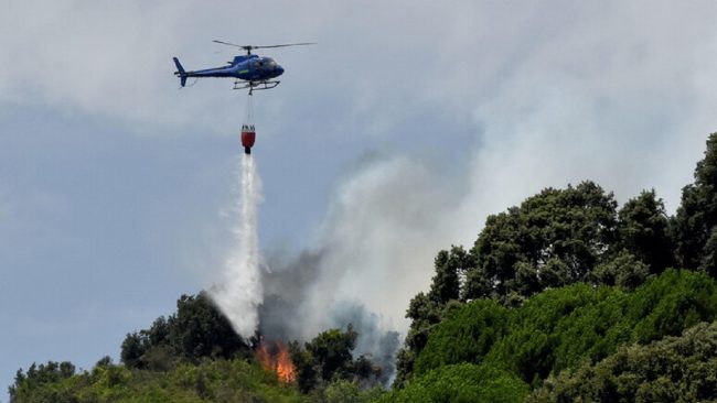 Arrestato piromane nell’Ennese, ha dato a fuoco 30 ettari di uliveti