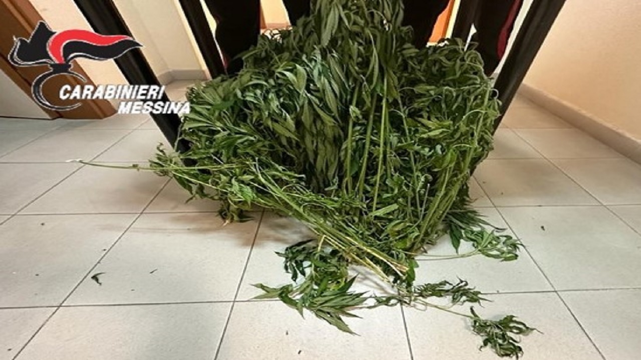 Marijuana “homemade” nel Messinese: 44enne ai domiciliari