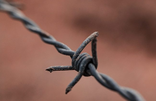 Palermo, carcere minorile in fiamme: poco prosecco per brindare
