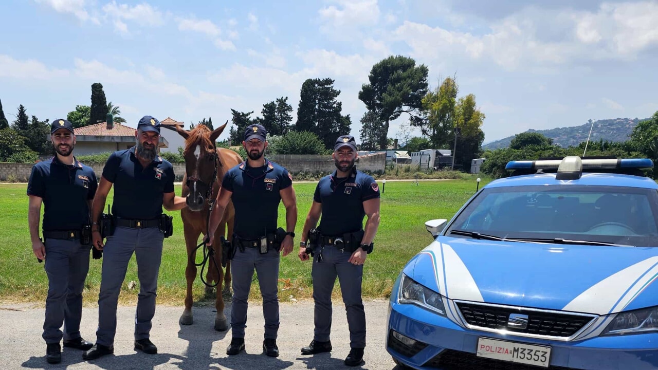 Ritrovato cavallo di razza a Palermo, era scappato dalla scuderia