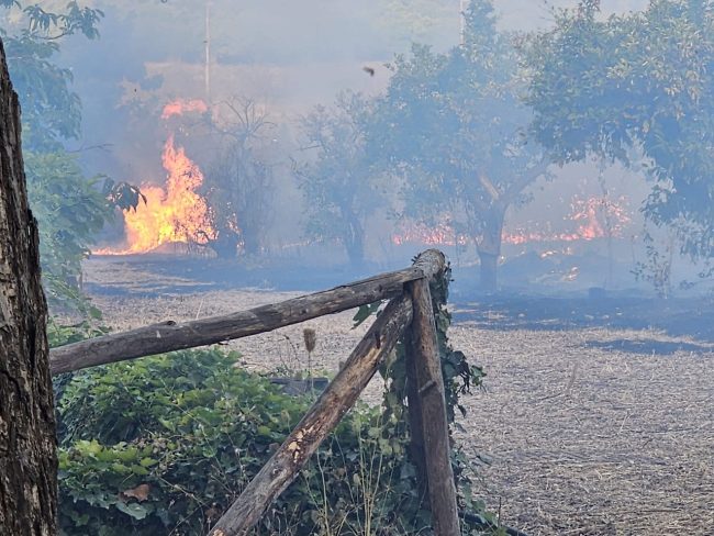 Incendi a Catania, imprese in ginocchio: la Cidec chiede ristori per le attività danneggiate