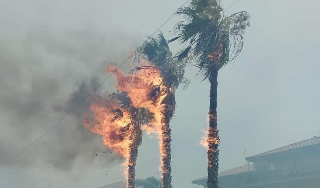 Incendi Catania e provincia, inferno tra Aci Catena e San Nicolò