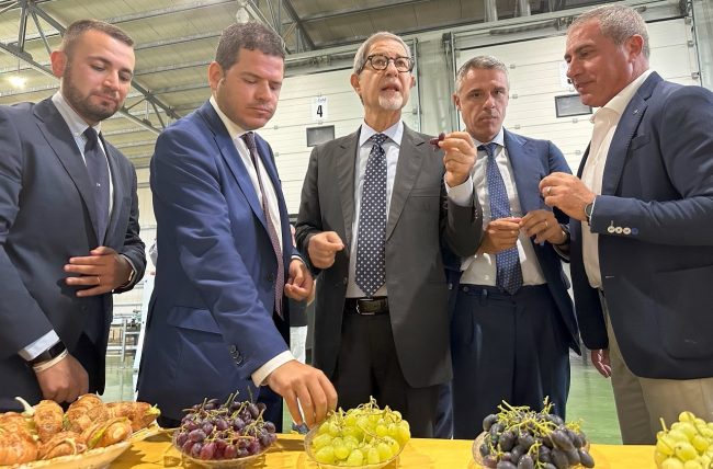 Musumeci e Galvagno incontrano i produttori agricoli di Mazzarrone