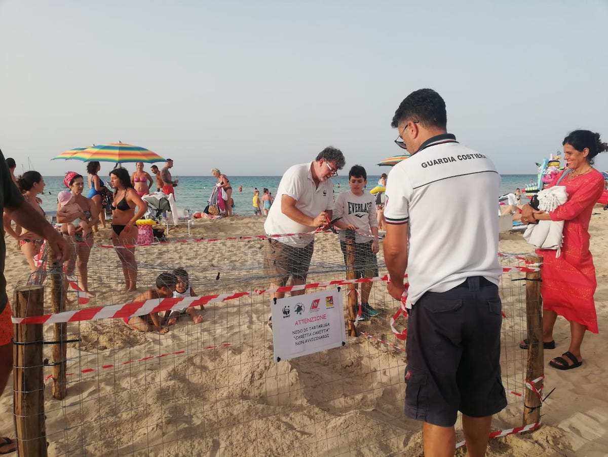 Tartaruga depone le uova sulla spiaggia libera di San Vito Lo Capo