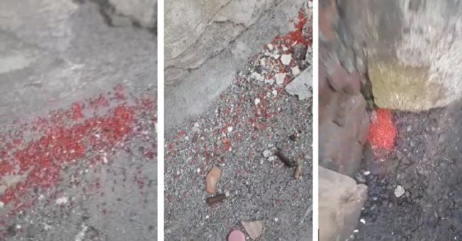 Risolta la questione veleno in via Regina Bianca