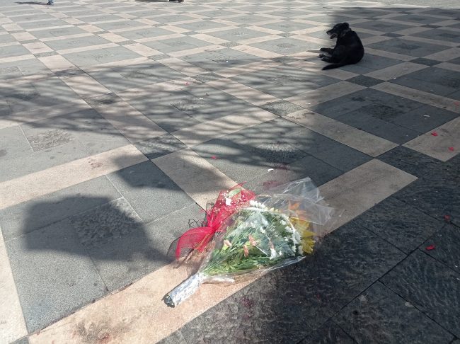 Silenzio in piazza a Militello, omaggio floreale per Franco Carrera e la “veglia” di un cane