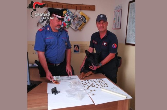 Arrestati due fratelli pusher nel Catanese con l’ausilio del cane dei Cinofili “Riley”