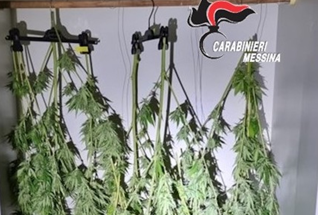 Rami di cannabis essiccati nell’armadio, un arresto a Gioiosa Marea