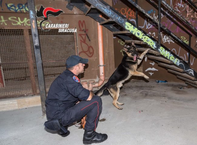 Droga e armi in casa: arrestati due giovani – VIDEO