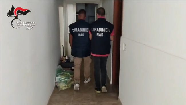 Casa di riposo abusiva nel Siracusano, sequestrati 103 kg di alimenti