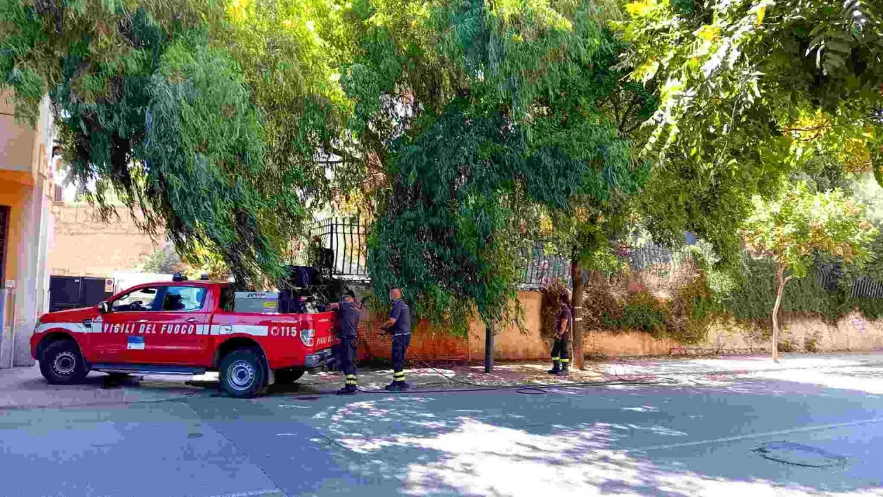 Palermo, incendio al Giardino Inglese: residenti in allarme