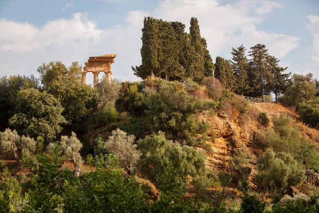 Il Giardino della Kolymbetra salvato dal FAI e dall’amore paterno di due uomini