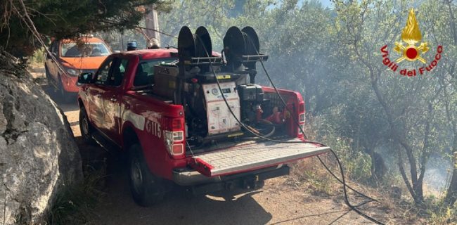 Sequenza di incendi su tutta la Sicilia, vigili del fuoco in azione da ieri
