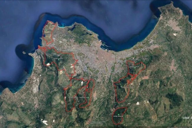 Incendi a Palermo, interviene il WWF: “Unico disegno criminale”