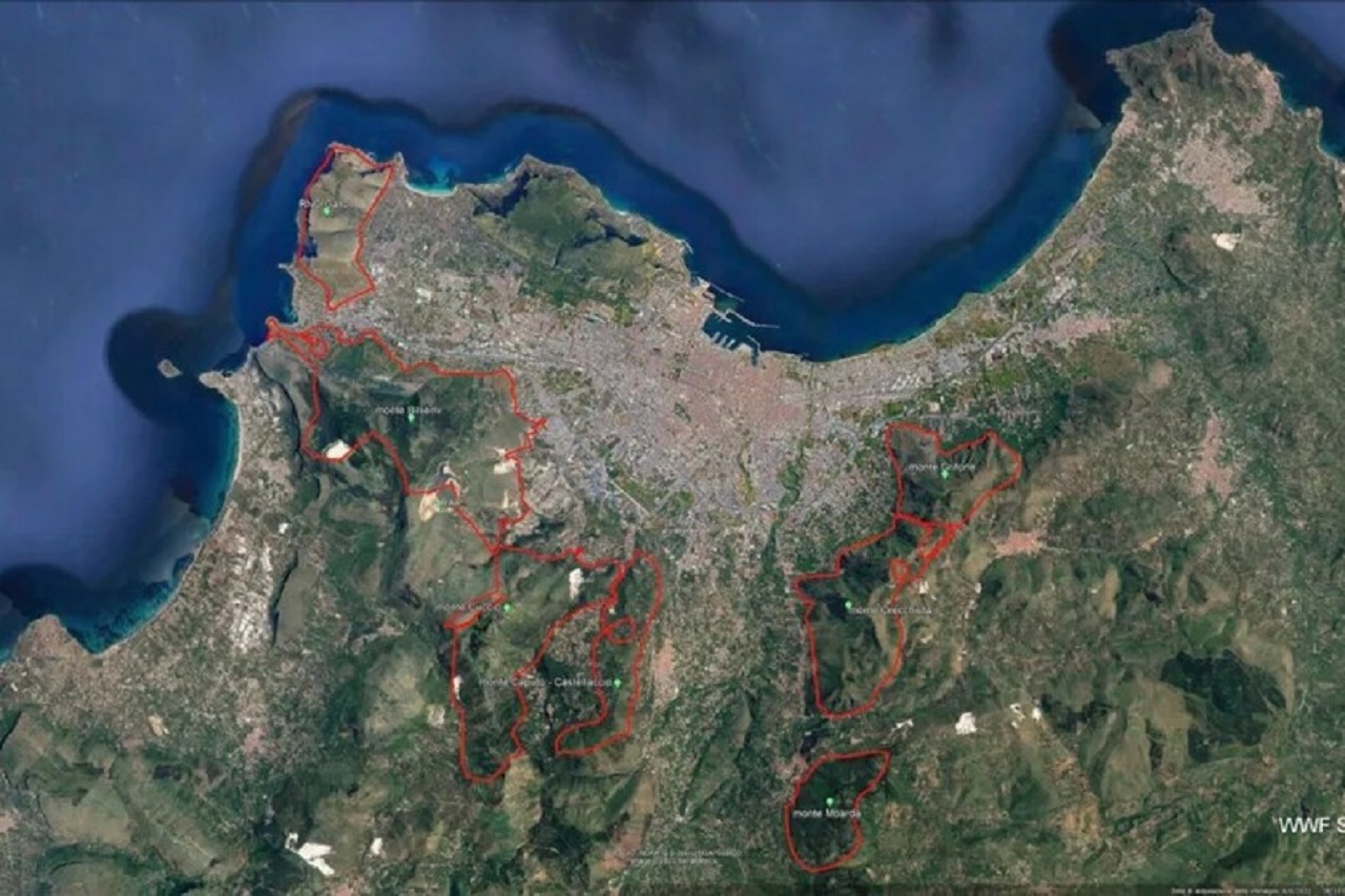 Incendi a Palermo, interviene il WWF: “Unico disegno criminale”