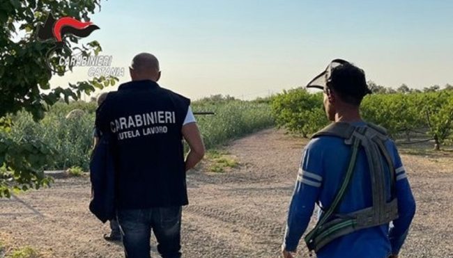 Controlli sulla sicurezza in materia di lavoro e lotta al lavoro in nero, 2 denunce a Paternò