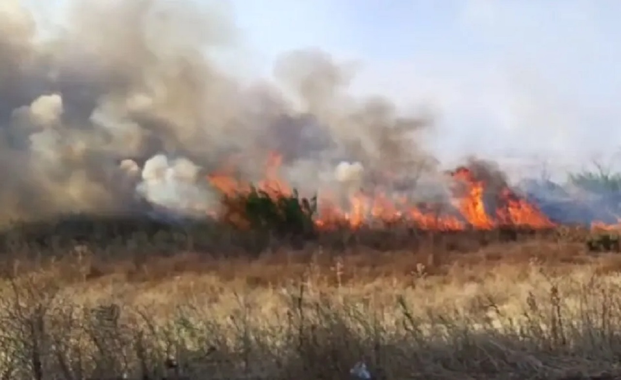 Incendio all’Oasi del Simeto, a fuoco quasi 10 ettari