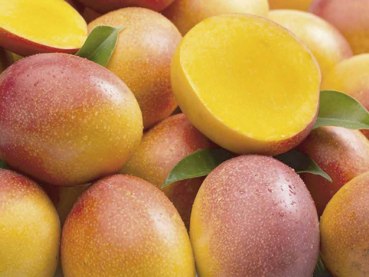 Raffica di furti di mango, agricoltori scrivono al Prefetto