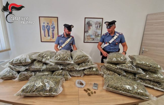 Operazione antidroga a Partinico, 26 chili di erba sequestrati e due arresti