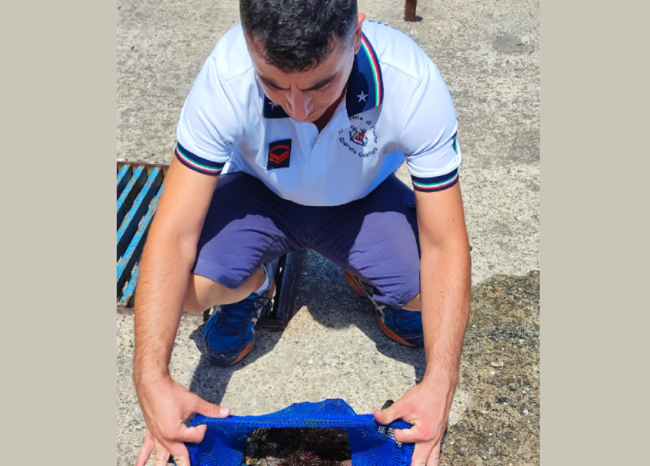 Sub incastrato a Messina, sequestrati ricci e orecchie di mare