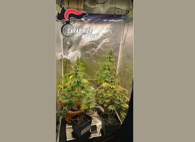 Girava in bici con la droga negli slip: in casa anche una serra artigianale