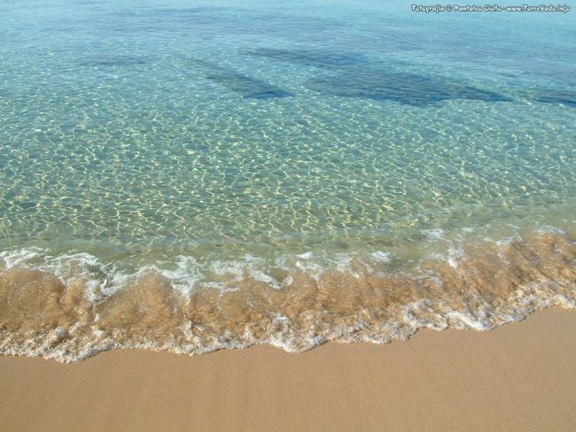 Spiagge pulite, la Regione conferisce premi in denaro: ecco quanto e dove