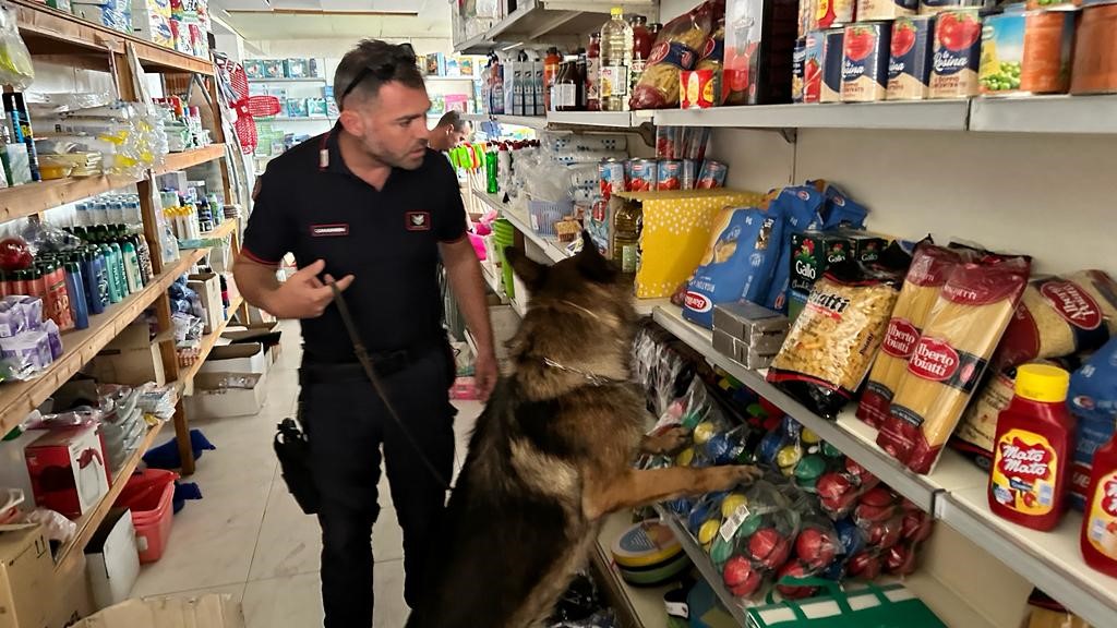 Cocaina e hashish nascosti in un minimarket di Punta Braccetto: arrestato il proprietario