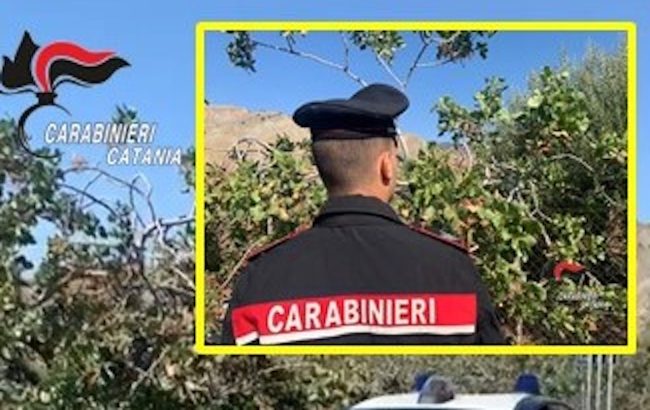Quattro denunciati dopo il tentativo di furto di 50 chili di pistacchio di Bronte