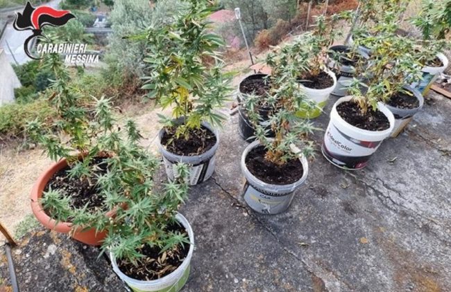 Coltiva droga in casa a Caronia, arrestato 46enne