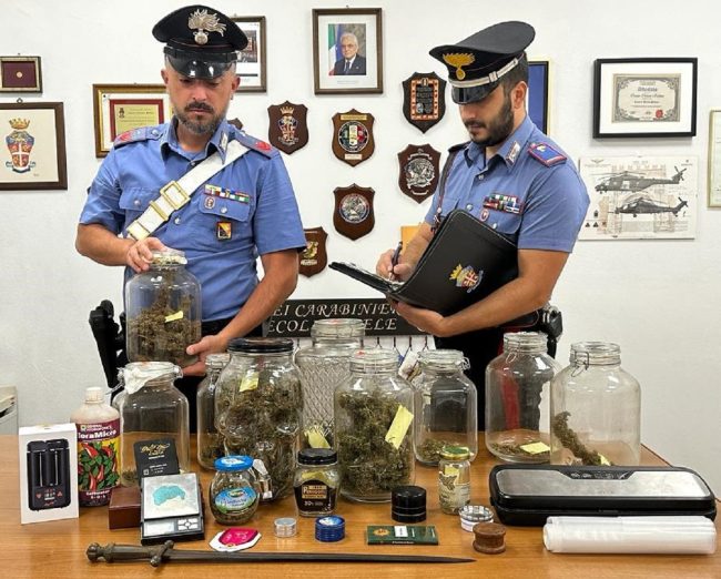 Nella cantina una serra per la coltivazione di marijuana: arrestato un 33enne