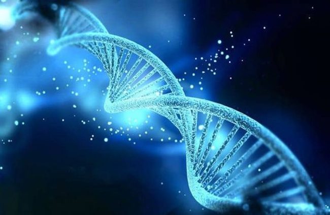 Può una confessione fatta in punto di morte sconvolgere la nostra vita?