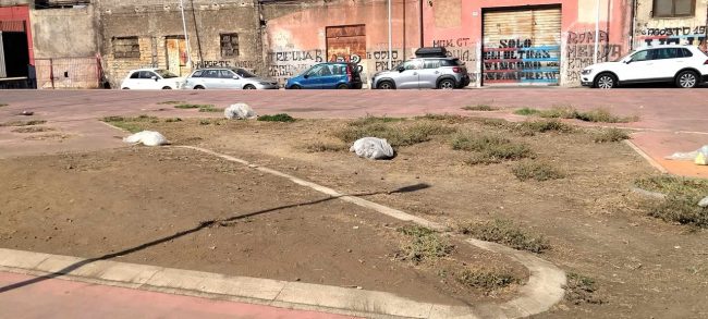 “World Cleanup Day”, clean up in via Barcellona. Bassini: “Soddisfatto di oggi”