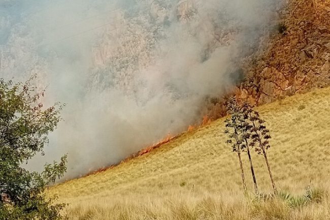 Palermo e provincia di nuovo nella morsa degli incendi, brucia anche Monte Pellegrino