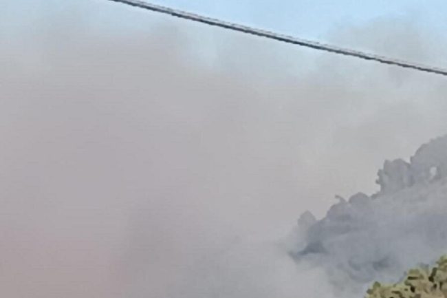 Incendio bosco di Serre Baccarato, a rischio 100 ettari di verde