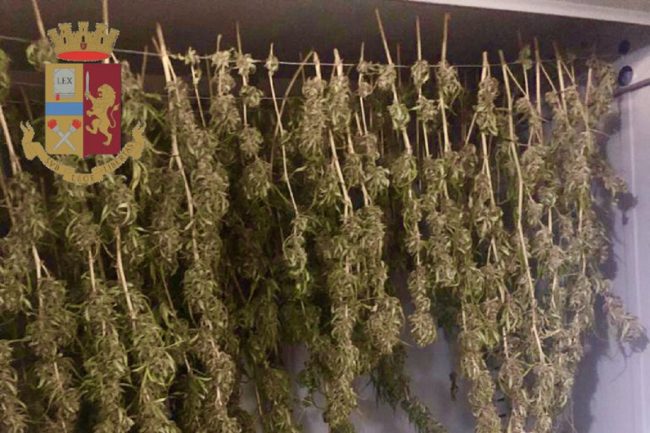 Arrestato 48enne di Picanello: aveva nel giardino marijuana e in casa ordigni e bombe