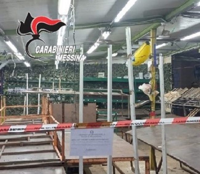 Controlli a tappeto dei carabinieri, nel mirino venditori ambulanti e esercizi commerciali