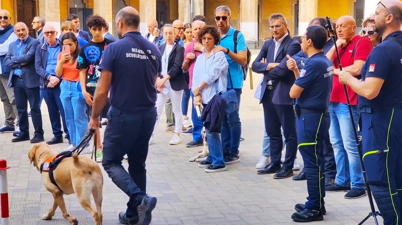 Giornata del Cane guida, dalla norma ai comportamenti sociali