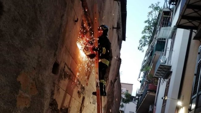 Liberato il gattino intrappolato da 4 giorni allo Steri