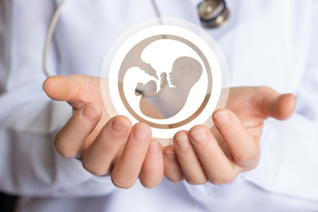 PMA, dal 2024 la fecondazione assistita sarà garantita anche dal Servizio Sanitario Nazionale