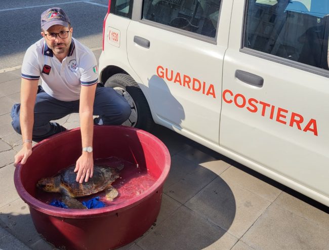 Salvata una tartaruga marina intrappolata in una lenza a Giardini Naxos
