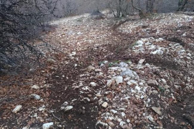 Turisti in moto nel Parco delle Madonie, scattano le denunce