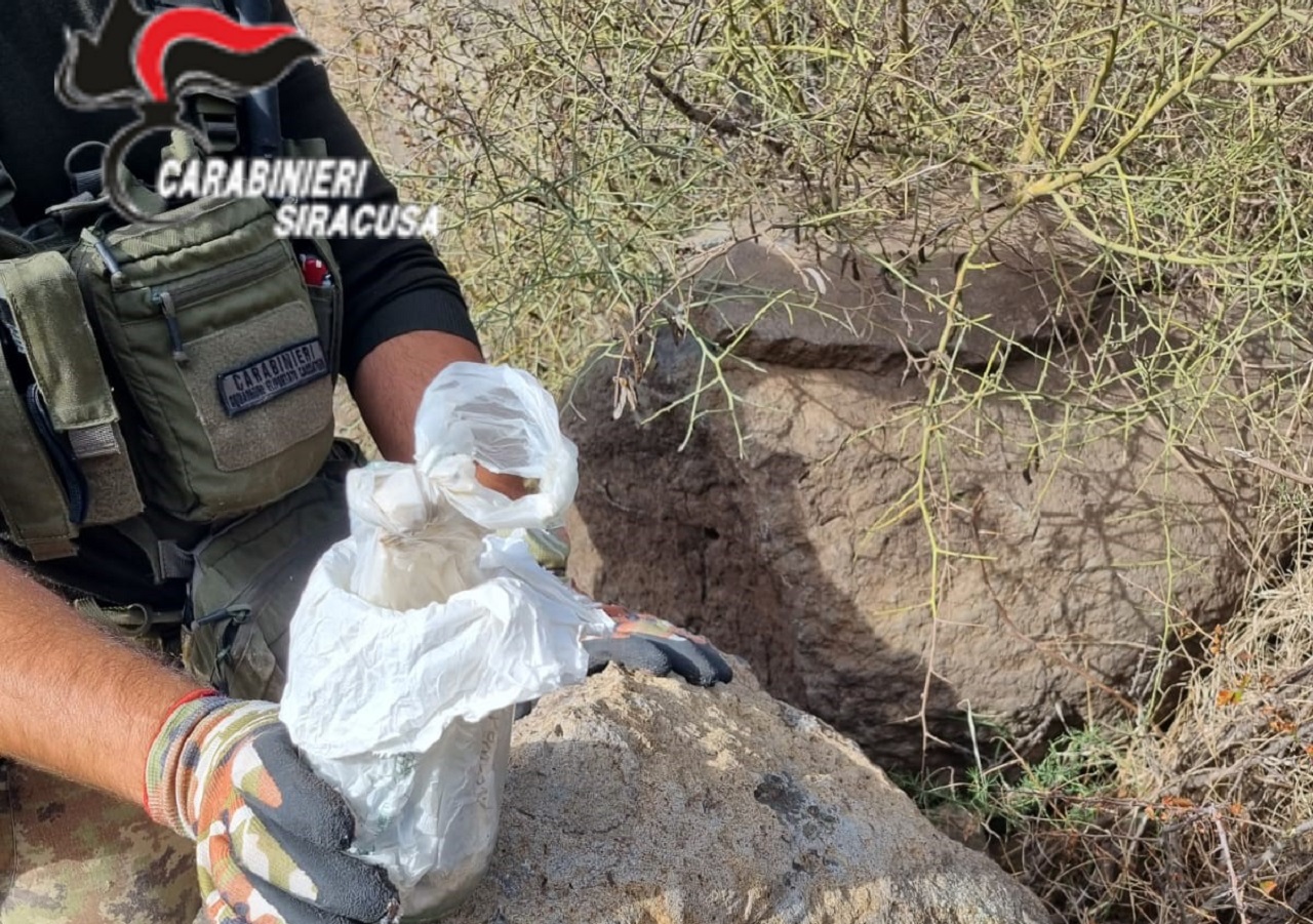 “Sorpresa” in un’azienda agricola: denunciato allevatore per detenzione abusiva di munizioni