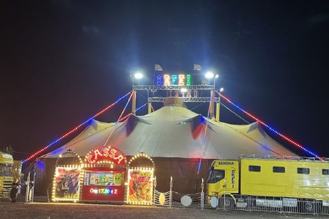 Circo a Palermo, l’assessore Rosi Pennino: “Controlli per evitare lo sfruttamento degli animali”