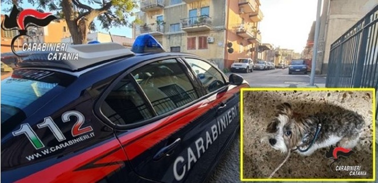 Catania, apre la bombola del gas in casa e sale nudo sul tetto: salvato uomo e il suo cagnolino