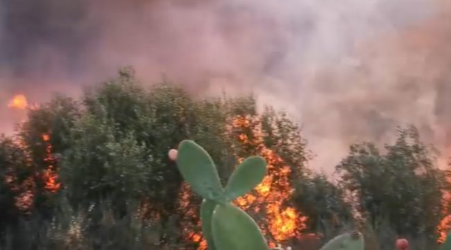 Auto in fiamme sulla A19, vasto incendio a Biancavilla – VIDEO