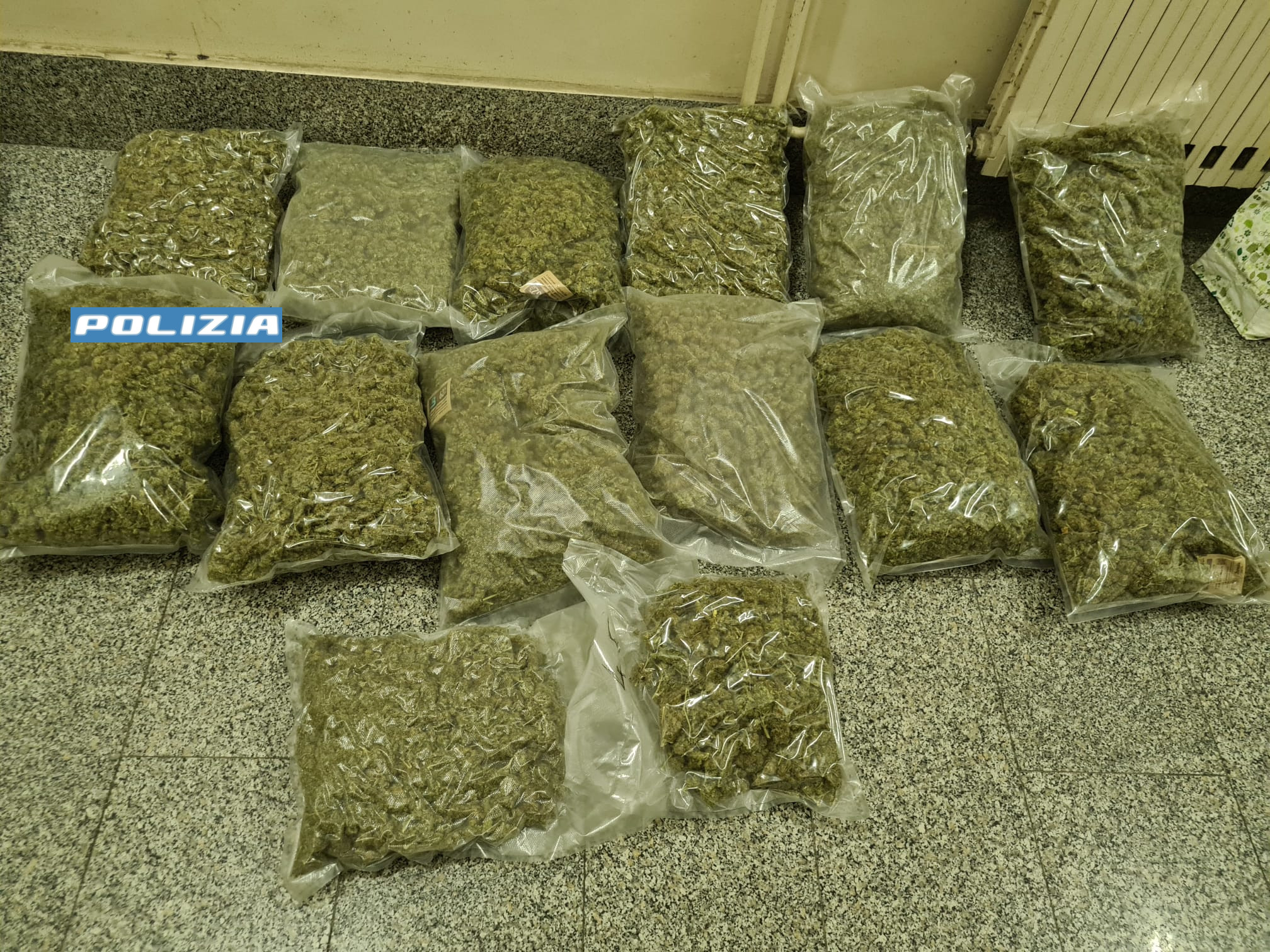 Trovata con 13 chili di marijuana “amnesia” in casa: arrestata una donna a San Cristoforo